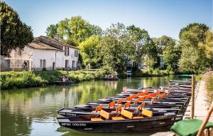 Une rangée de bateaux est alignée dans l'eau dans l'établissement Amazing Home In Souvigne With Kitchen, à Souvigné