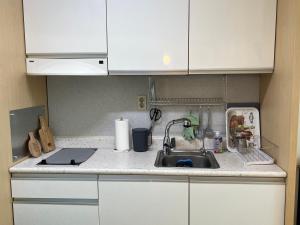 eine Küchentheke mit einer Spüle und weißen Schränken in der Unterkunft Hongdae Station loft apartment in Seoul