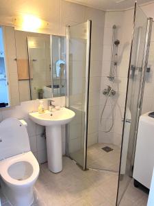 a bathroom with a toilet and a shower and a sink at Hongdae Station loft apartment in Seoul