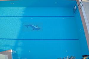 a dolphin swimming in the water in a swimming pool at Dogan Apart Hotel in Göcek
