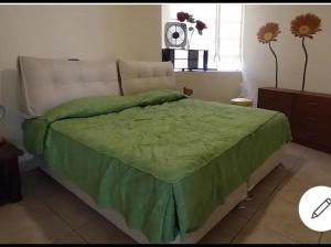 a bedroom with a bed with a green comforter at Espacioso departamento in Lima