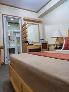 聖托斯將軍城的住宿－PHELA GRANDE HOTEL，一间卧室配有一张床、一张书桌和一面镜子