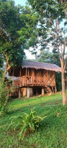 ein Holzgebäude mit einem Grasdach auf einem Feld in der Unterkunft Erlittop Garden Eco Lodge in El Nido