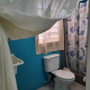 a blue bathroom with a toilet and a window at Hacienda Tropical Guest House in Belmopan