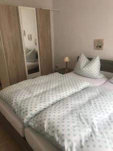 1 dormitorio con 1 cama grande y espejo en Ferienwohnung über Greiz, en Greiz