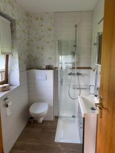 Un baño con ducha, inodoro y lavabo. en Ferienwohnung Fam.Werner, en Wasungen 12 fotos más