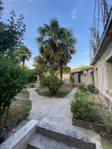 a walkway with palm trees and a building at Annexe indépendante in Bourron-Marlotte