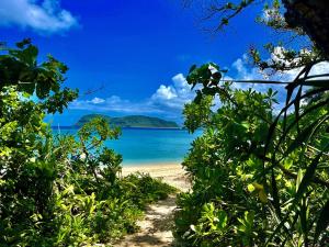 widok na plażę z dżungli w obiekcie 杜屋 西表島 w mieście Urauchi