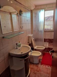 a bathroom with a sink and a toilet at Apartma Ob Krki in Straža