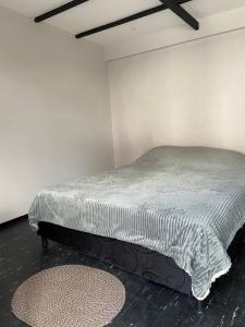 莱瓦镇hosteline的白色墙壁间的一张床位 更多11张照片