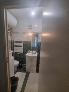 La salle de bains est pourvue d'un lavabo, de toilettes et d'un miroir. dans l'établissement F2 proche de La Defense, à Courbevoie