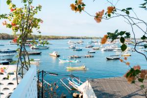a bunch of boats are docked in a harbor at Paras Paros Marina Lodge in Sanur