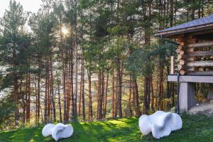 drei weiße Vögel, die auf dem Gras vor einem Wald sitzen in der Unterkunft Qazaq Auyl Eco Hotel in Almaty