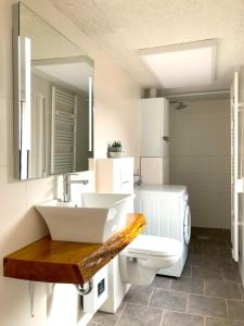 ein Badezimmer mit einem Waschbecken, einem WC und einem Spiegel in der Unterkunft Lehmhäuschen mit Sauna in Tangermünde