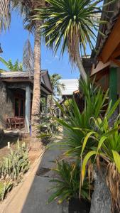Taman di luar Coral Voice 1 Homestay & Lumbung +29 gambar