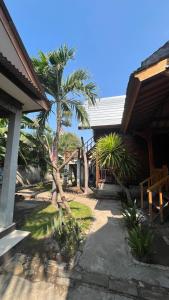 Taman di luar Coral Voice 1 Homestay & Lumbung