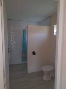 a white bathroom with a toilet and a shower at Dominic's Beach Bungalow in Muri