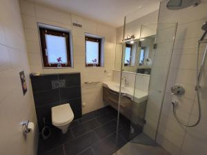 a bathroom with a shower and a toilet and a sink at Auszeit am Berg in Schwarzach im Pongau