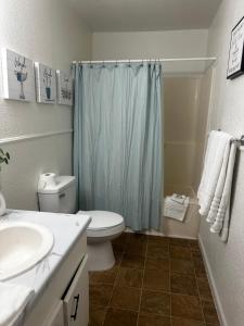 a bathroom with a toilet and a sink and a shower at Eagle Stay 5 in Eagle Pass