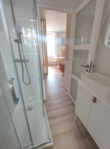 een badkamer met een glazen douche en een wastafel bij Le Studio in Saint-Gilles