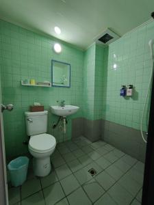 a green bathroom with a toilet and a sink at Lu Zhou Hotel in Pingtung City