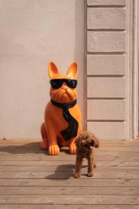 a statue of a dog wearing a cat costume and sunglasses at Re Versiliana Hotel in Marina di Pietrasanta