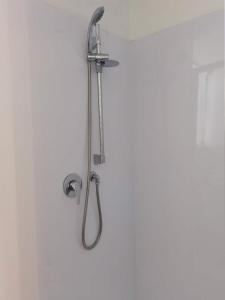a shower with a shower head on a wall at Mt Eden Tidy Unit A in Auckland
