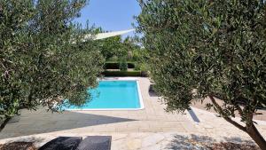 Bazén v ubytování Resort Apartment Petrović nebo v jeho okolí