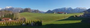 un gruppo di persone in piedi su un campo verde con montagne di Alpenloft Inzell a Inzell