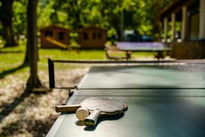 Stolní tenis v ubytování Holiday Resort Medveja nebo okolí