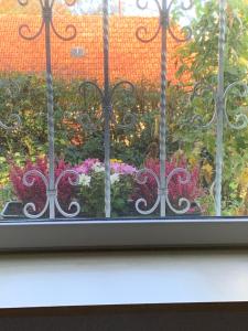 ventana con vistas a un jardín de flores en Ferienwohnung am Kocher-Jagst Radweg en Neuenstadt am Kocher