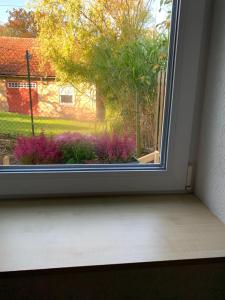 ein Fenster mit Blick auf einen Garten mit lila Blumen in der Unterkunft Ferienwohnung am Kocher-Jagst Radweg in Neuenstadt am Kocher