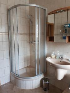 La salle de bains est pourvue d'une douche et d'un lavabo. dans l'établissement Ferienwohnung am Viaduktweg Familie Roman, à Langenleuba-Niederhain