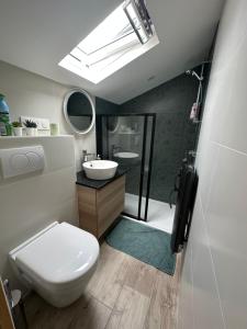 uma casa de banho com um WC, um lavatório e um chuveiro em Appartement - Galerie BOTANIC ART Trentemoult em Rezé