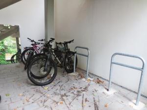 Jazda na bicykli v okolí ubytovania WOLKE, kleines Apartment mit Balkon am Fluss, Zentrum