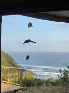 einen Blick auf das Meer mit zwei Vögeln, die von einem Haus hängen in der Unterkunft Mantekuview Homestay 