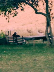 Gallery image of La Guirtelle in Lainsecq +61 photos