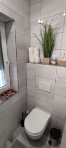 Fotografie z fotogalerie ubytování Apartmán Oto 1 Apartmán Oto 2 Úpská 490, Svoboda nad Úpou ve Svobodě nad Úpou