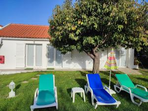 dwa krzesła i parasol w trawie obok drzewa w obiekcie Quinta Camargue w mieście Cela Velha