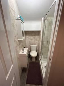 La petite salle de bains est pourvue d'une douche et de toilettes. dans l'établissement Immaculate 1-Bed House in Newtown Disley, à Stockport