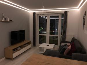 ein Wohnzimmer mit einem Sofa und einem Flachbild-TV in der Unterkunft Wolf Apartment in Kłodzko