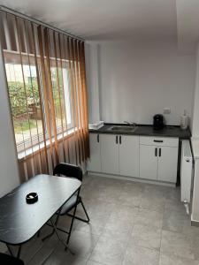 cocina con mesa, mesa y ventana en Nicolle Studio, en Piteşti