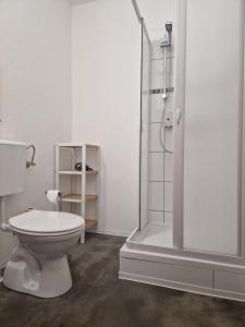 a bathroom with a toilet and a shower at Pension Bergfried in Hallstatt