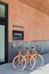 duas bicicletas laranja estacionadas ao lado de um edifício de tijolos em Canopy By Hilton Boston Downtown em Boston