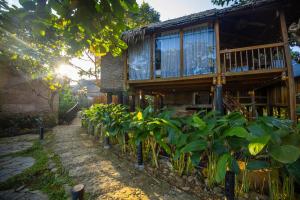 a house with a bunch of plants in front of it at Pu Luong Natura in Pu Luong