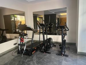 Fitness centrum a/nebo fitness zařízení v ubytování Smart home 5 2+1