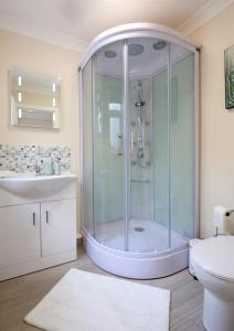 uma casa de banho com um chuveiro, um WC e um lavatório. em Central Norwich House W Parking Ginger&gold em Norwich