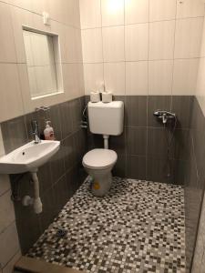 a bathroom with a toilet and a sink at Apartments with a parking space Sutivan, Brac - 5629 in Sutivan
