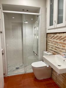 a bathroom with a shower and a toilet and a sink at Lauramer Plaza Nueva in Bilbao