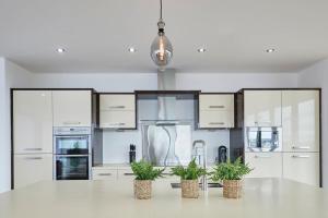 a kitchen with three potted plants on a white counter at Host & Stay - The Knight Street Penthouses in Liverpool